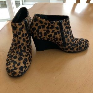 AEROSOLES Shoes - Aerosoles Leopard Wedge Booties AEROSOLES Shoes - Aerosoles Leopard Wedge Booties